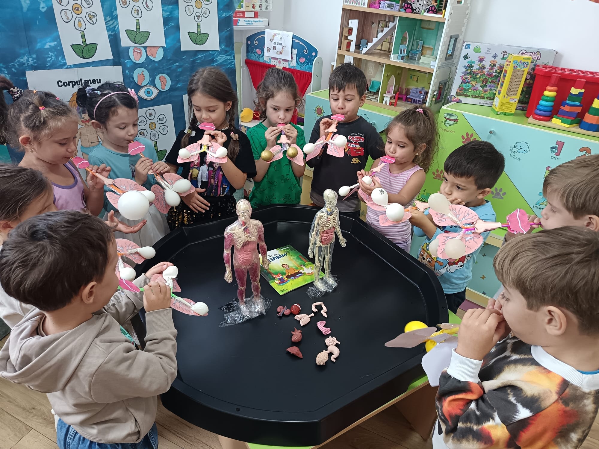Activități educative
